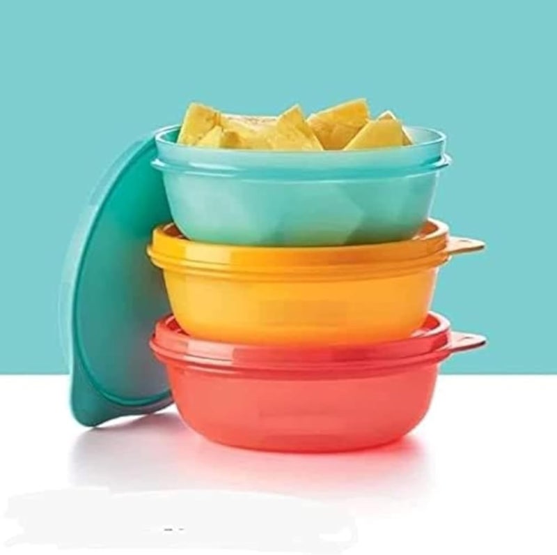 Tupperware S. S Food Containers Set (300ml)